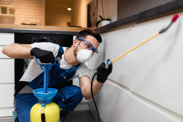 Best Flea Control Services  in White Castle, LA