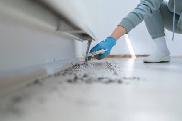 Best Pest Removal Services  in White Castle, LA